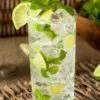 Mojito Mint Plant - 6 Pack Of Pint Pots -Cheap Plants Store mentha x villosa mojito mint 5