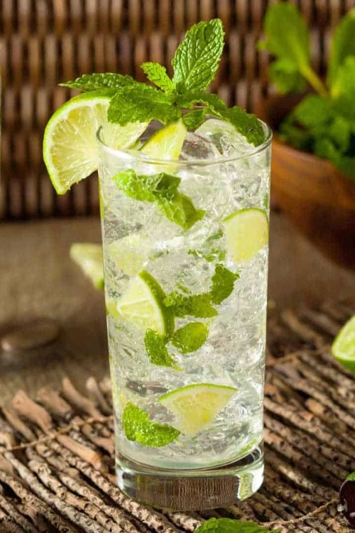 Mojito Mint Plant - 6 Pack Of Pint Pots 3 Mojito Mint Plant - 6 Pack Of Pint Pots